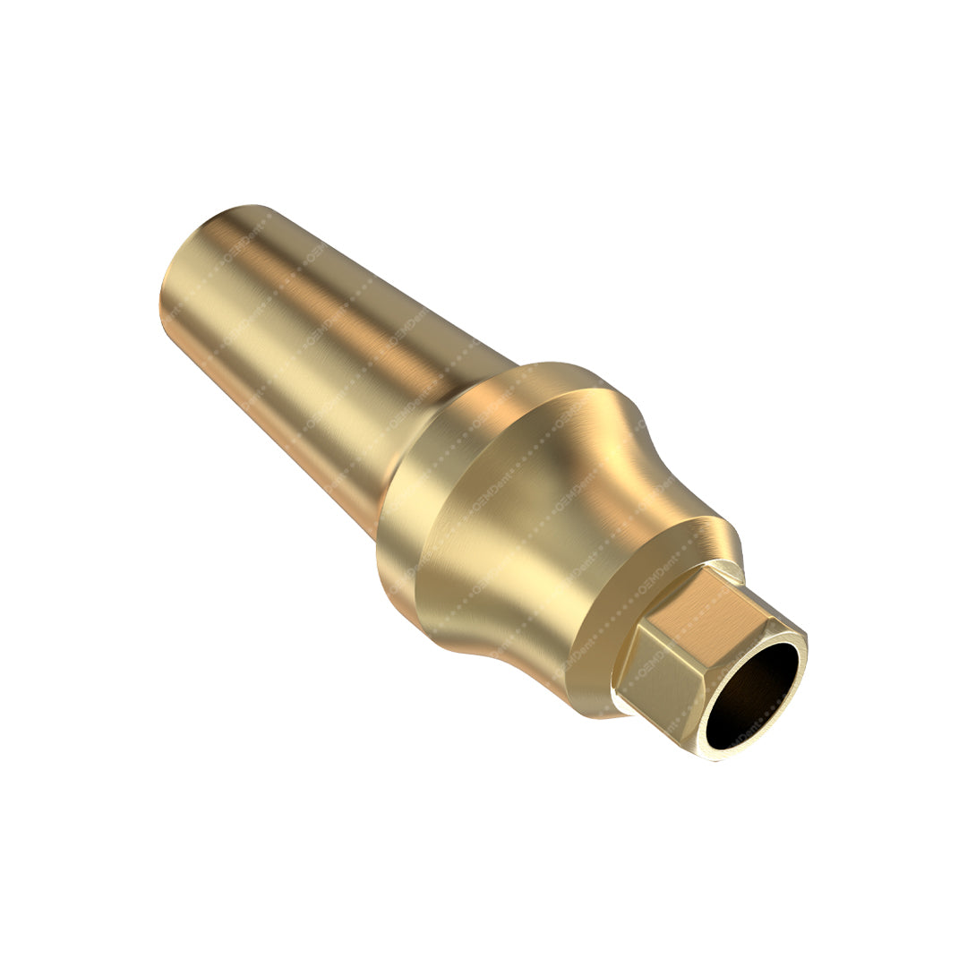 Concave Straight Anatomic Abutment - Noris Medical® Internal Hex Compatible