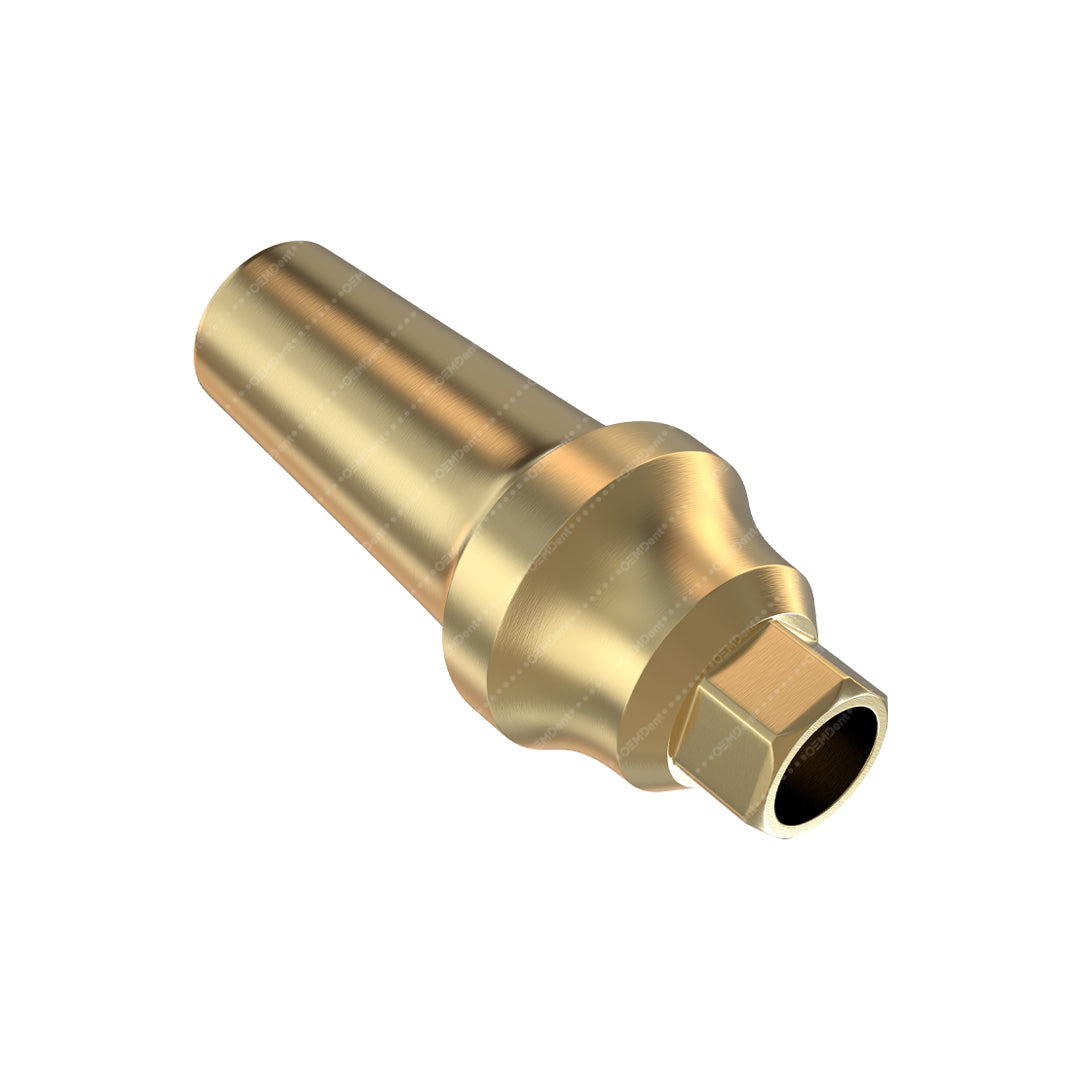 Concave Straight Anatomic Abutment - Noris Medical® Internal Hex Compatible