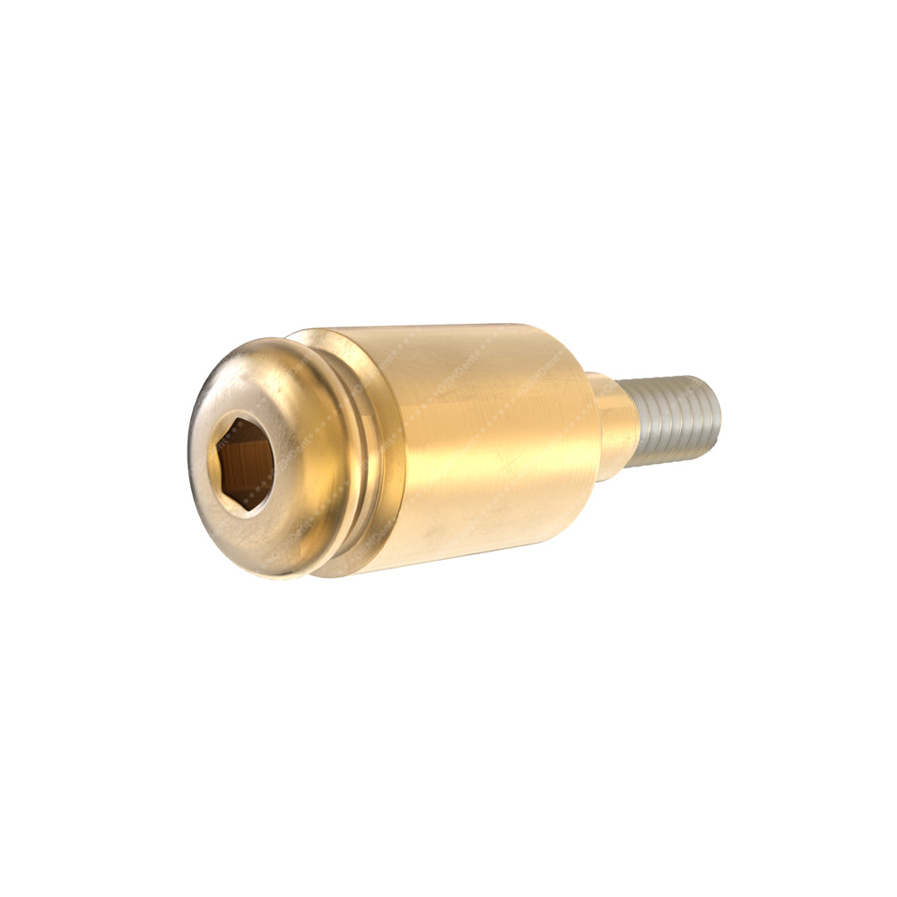 Straight Loc Attachment - GDT Implants® Internal Hex Compatible