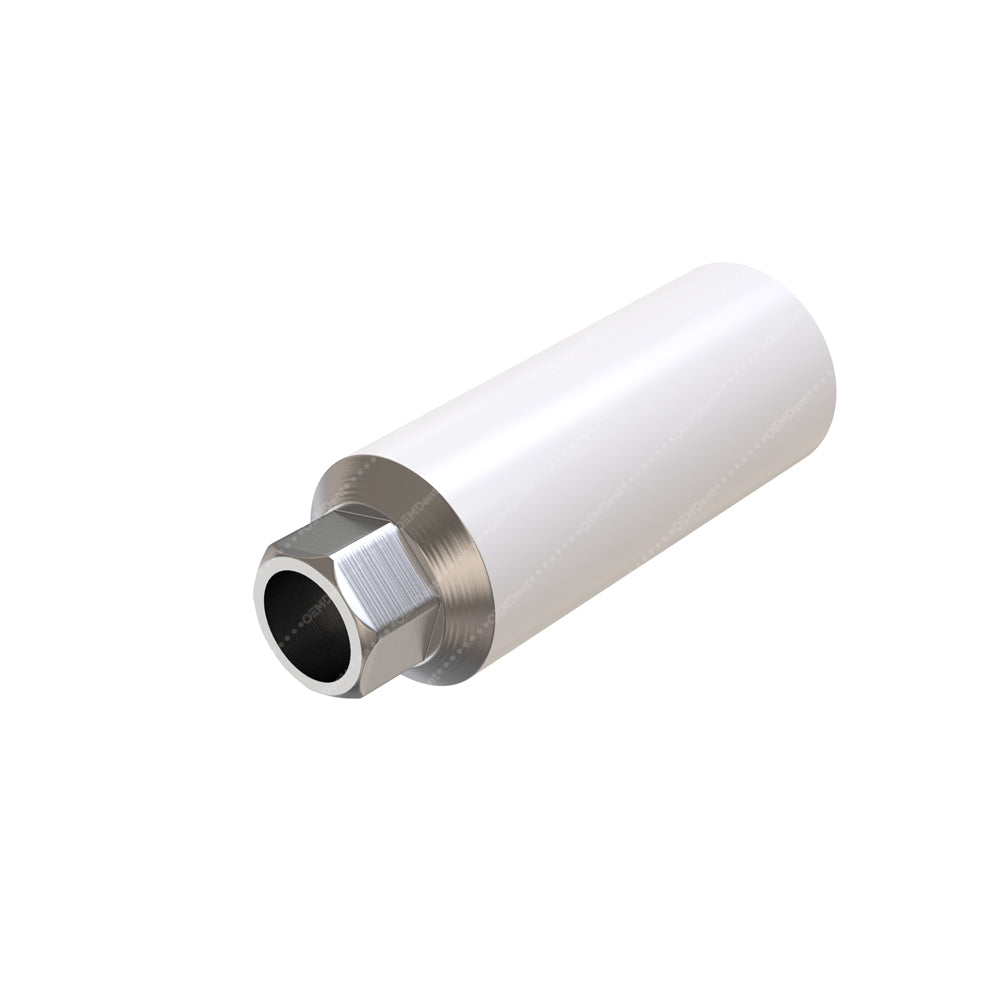 Anti Roatational Rings Anti Rotational Titanium Abutment (UCLA) - Noris Medical® Internal Hex