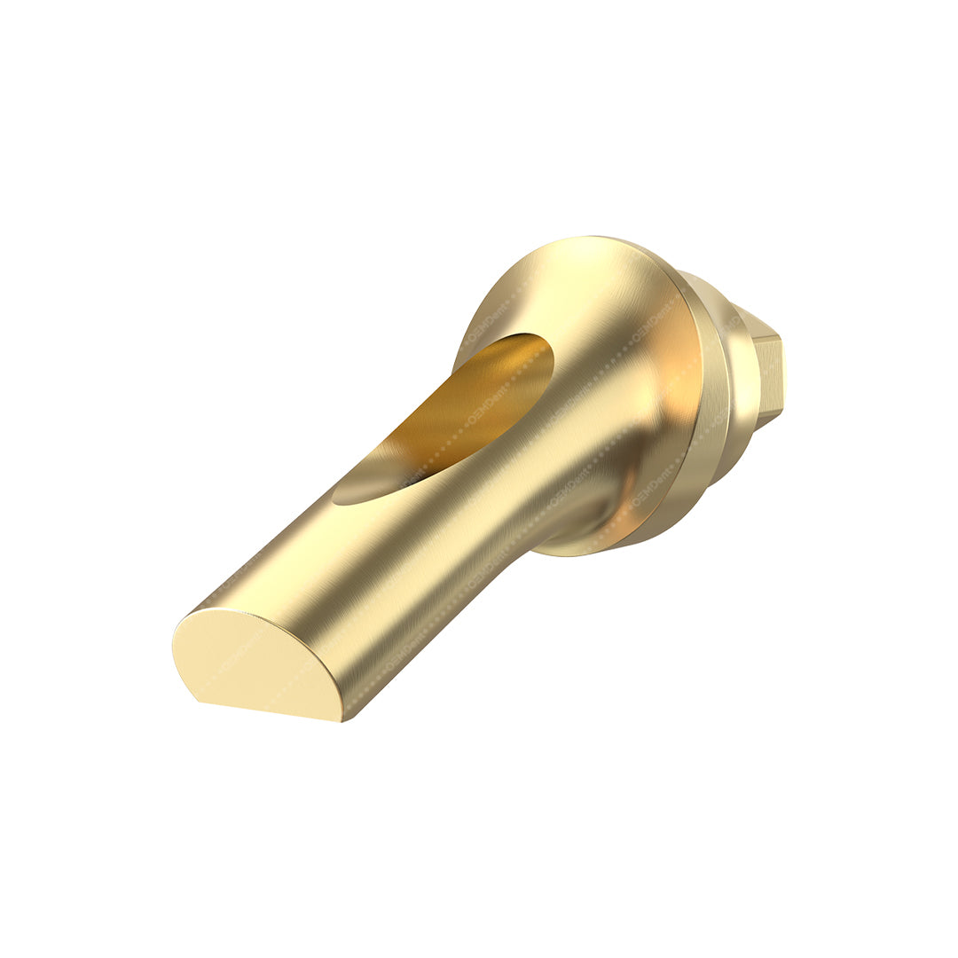Concave Angulated Abutment 25° - Noris Medical® Internal Hex Compatible