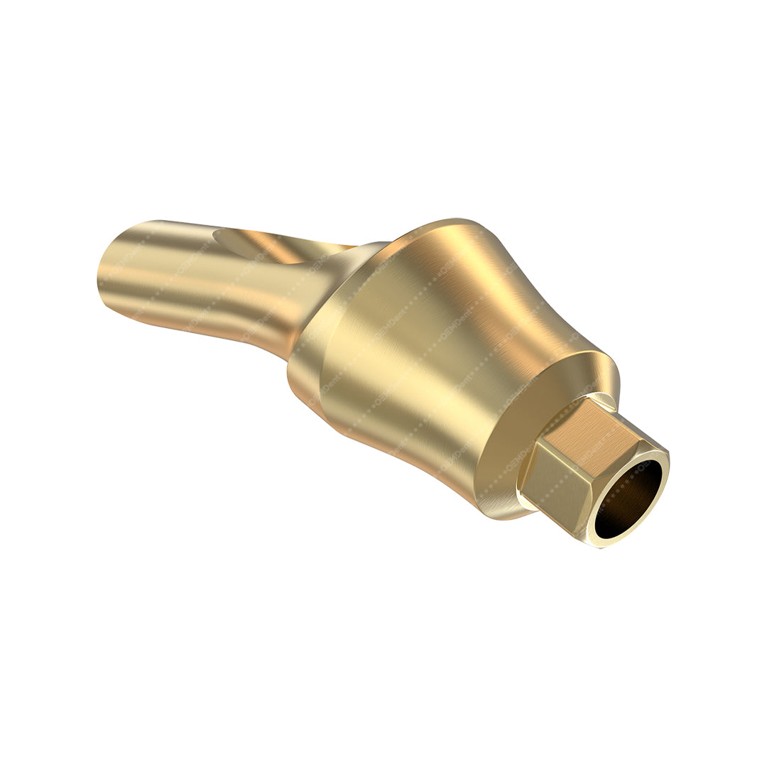 Concave Angulated Abutment 25° - Noris Medical® Internal Hex Compatible