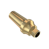 Concave Straight Anatomic Abutment - SGS® Internal Hex Compatible