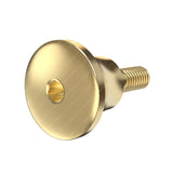 Concave Extra Wide Healing Cap Ø6.3 - Noris Medical® Internal Hex Compatible